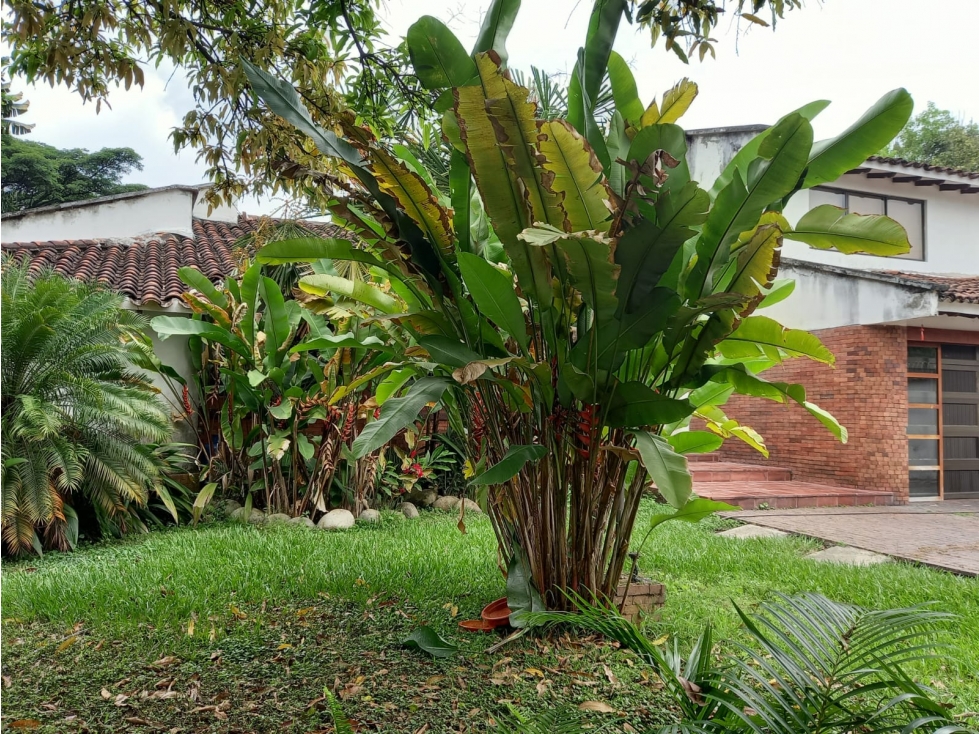 Casa — foto 6