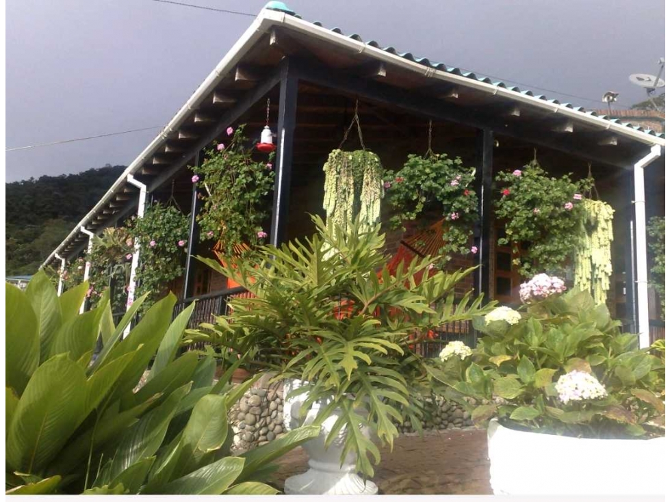 VENDO FINCA — foto 2