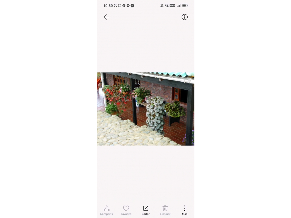 VENDO FINCA — foto 3