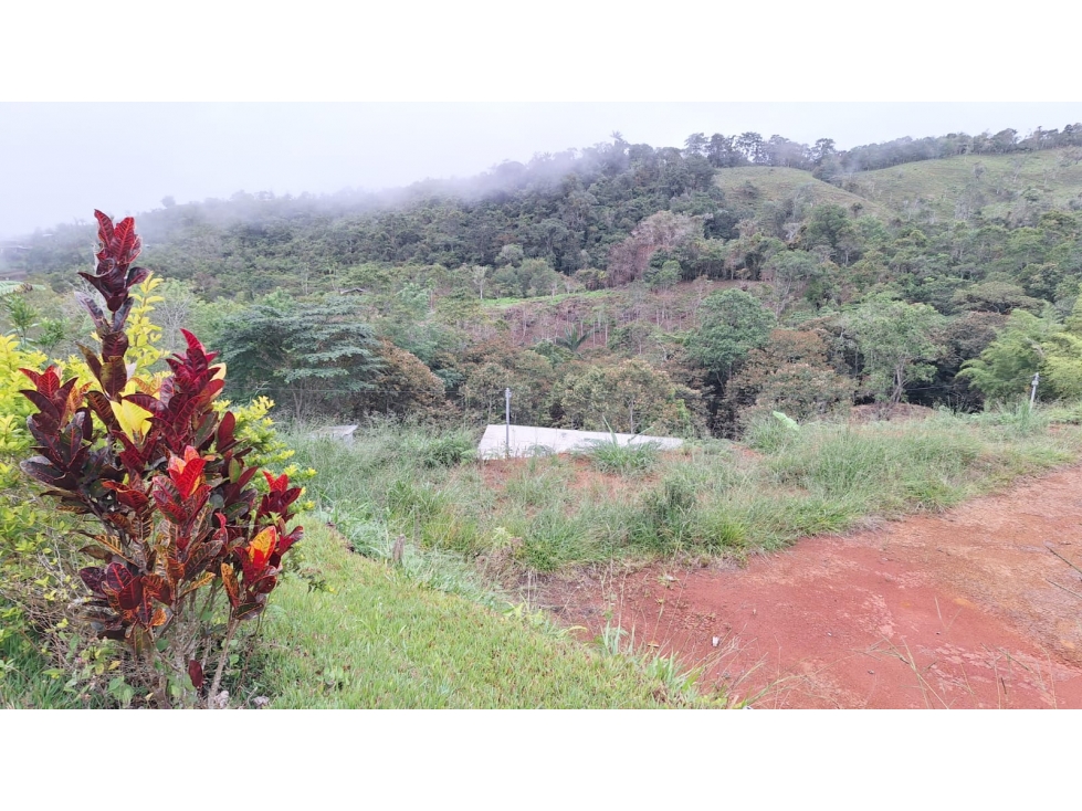 SE VENDE FINCA VIA TOCOTA VEREDA SAN BERNARDO - YP - 7038924 — foto 5