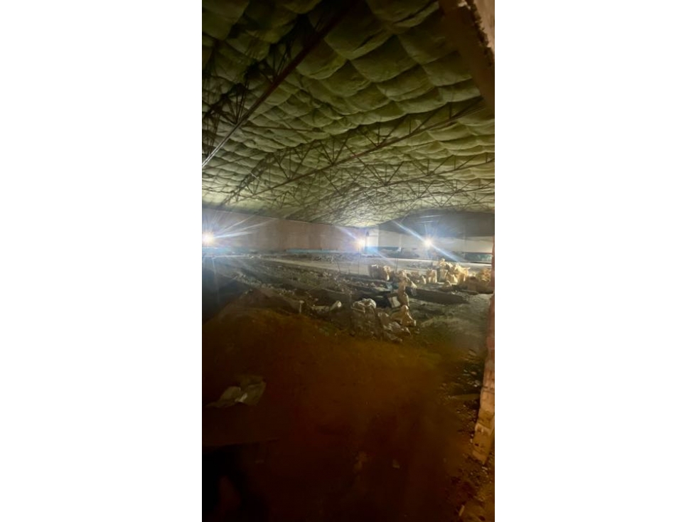 Vendo Bodega en el limonar a media cuadra de la 5ta CS 7211768 — foto 4