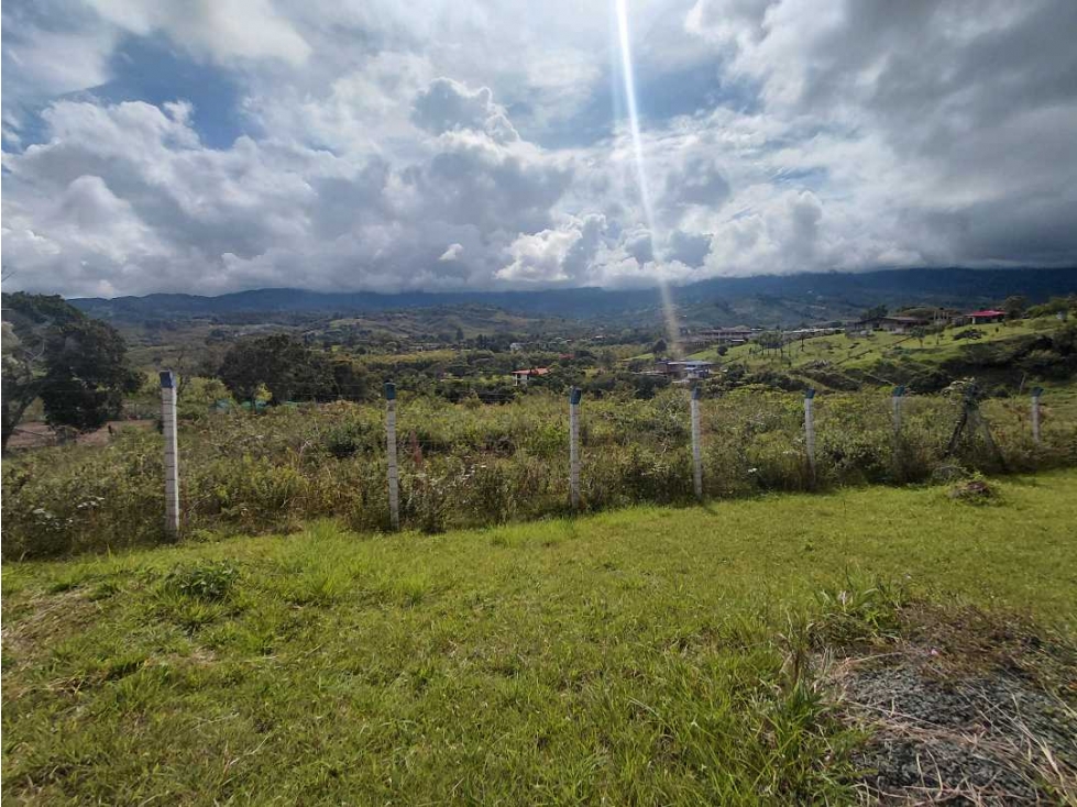 VENDO LOTE EN EL CARMEN 3.427 M2 ALG 7726455 — foto 6