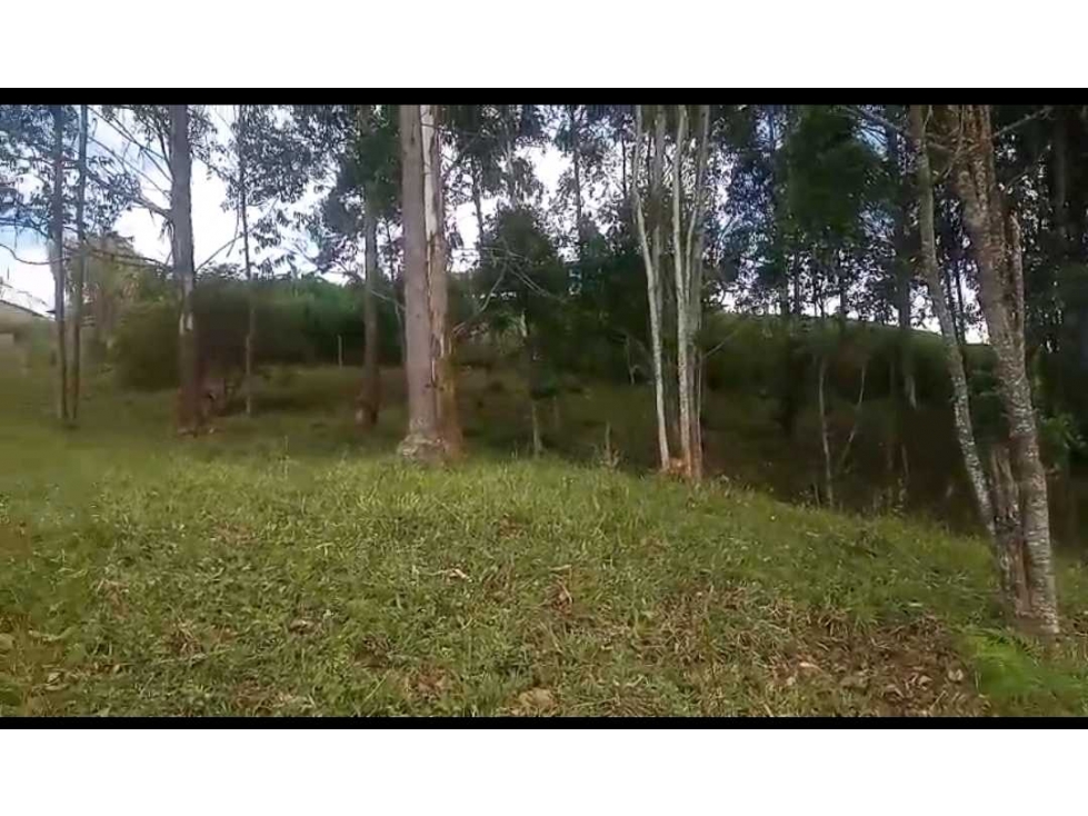 VENDO EXCELENTE FINCA EN GINEBRA VALLE CQ - 2