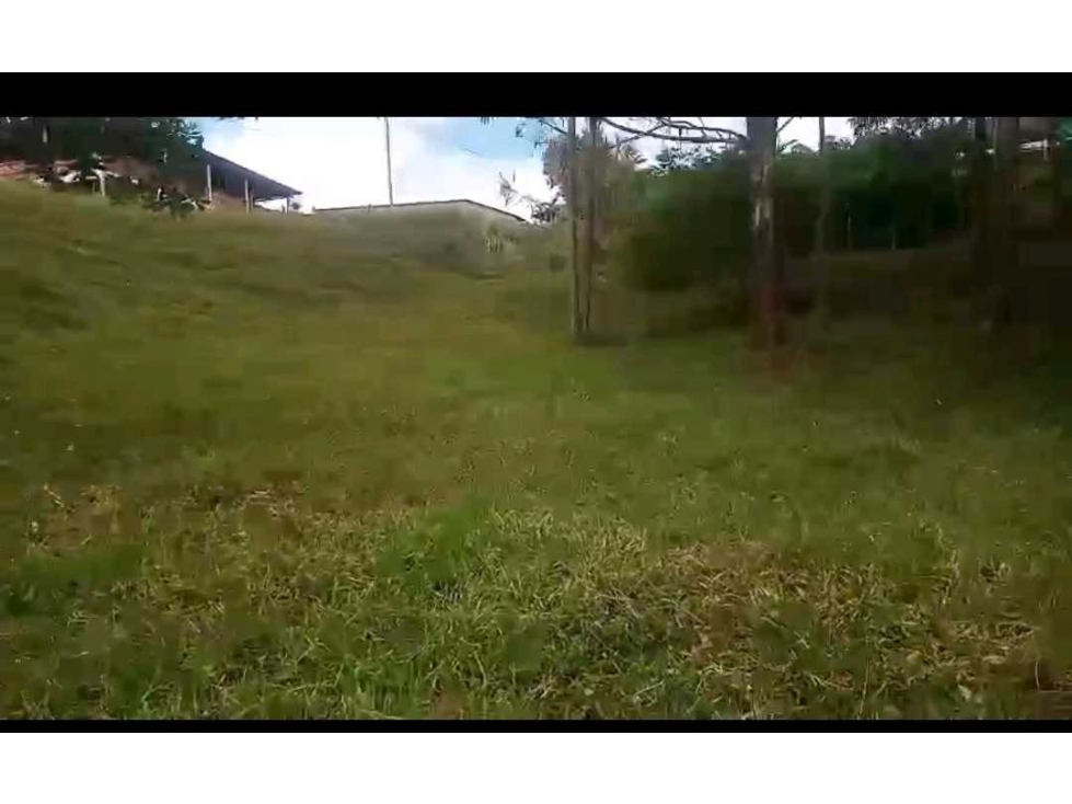VENDO EXCELENTE FINCA EN GINEBRA VALLE CQ - 4