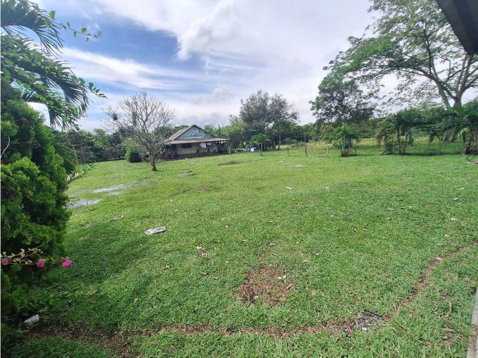 Se vende lote de 4.000 mtr2 en Ginebra. - 2