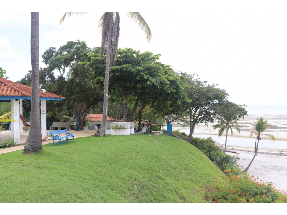 Se Vende Terreno frente de Playa Para Proyecto en Rio Hato Panama - 3