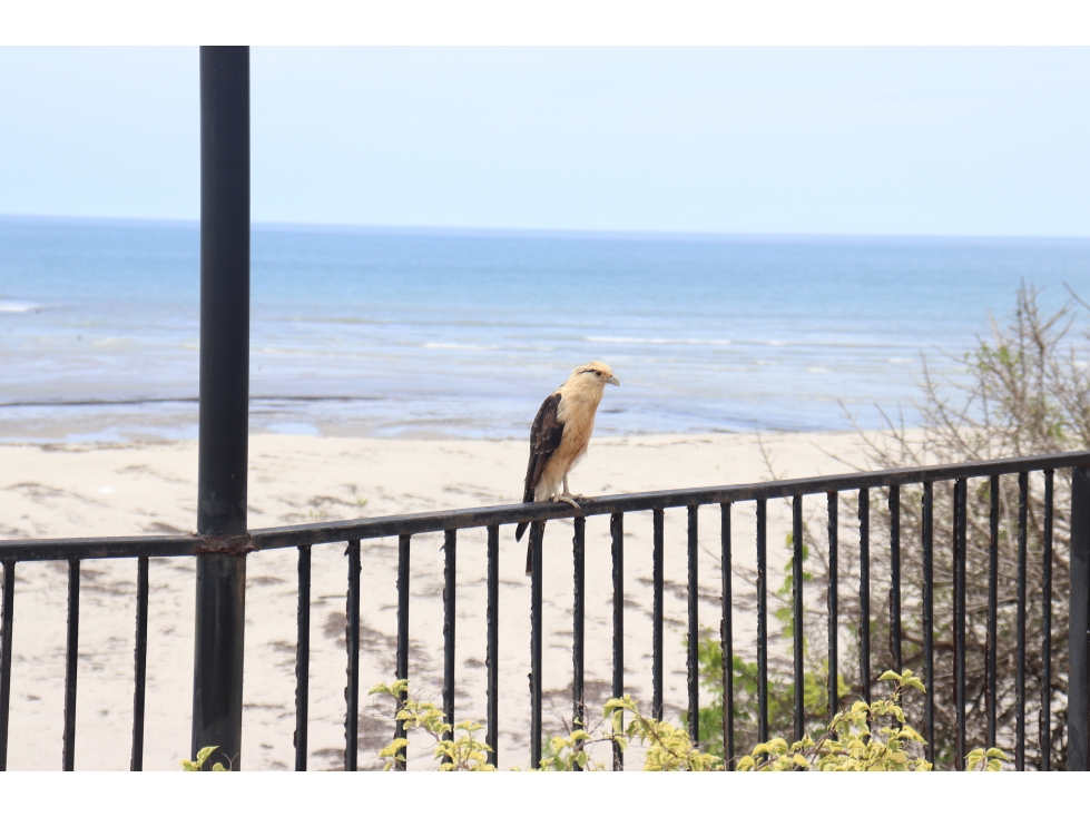 Se Vende Terreno frente de Playa Para Proyecto en Rio Hato Panama - 6