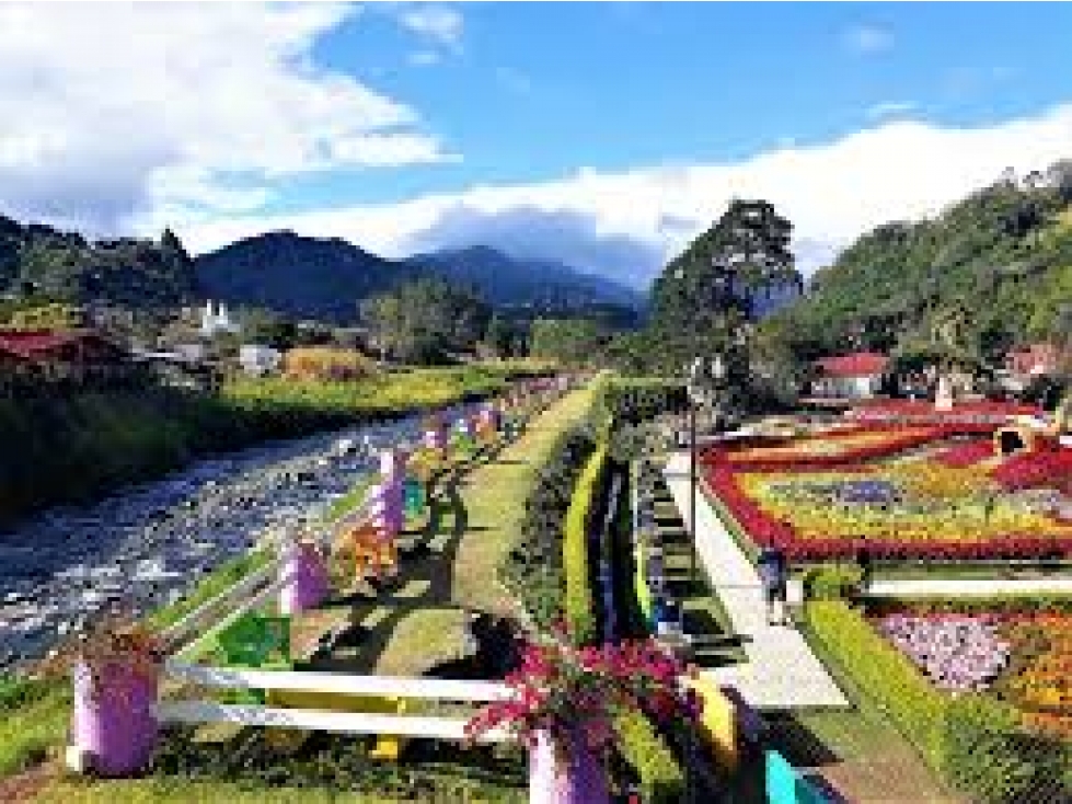 HOME FOR SALE LUXURY IN PINO ALTO BOQUETE - 3