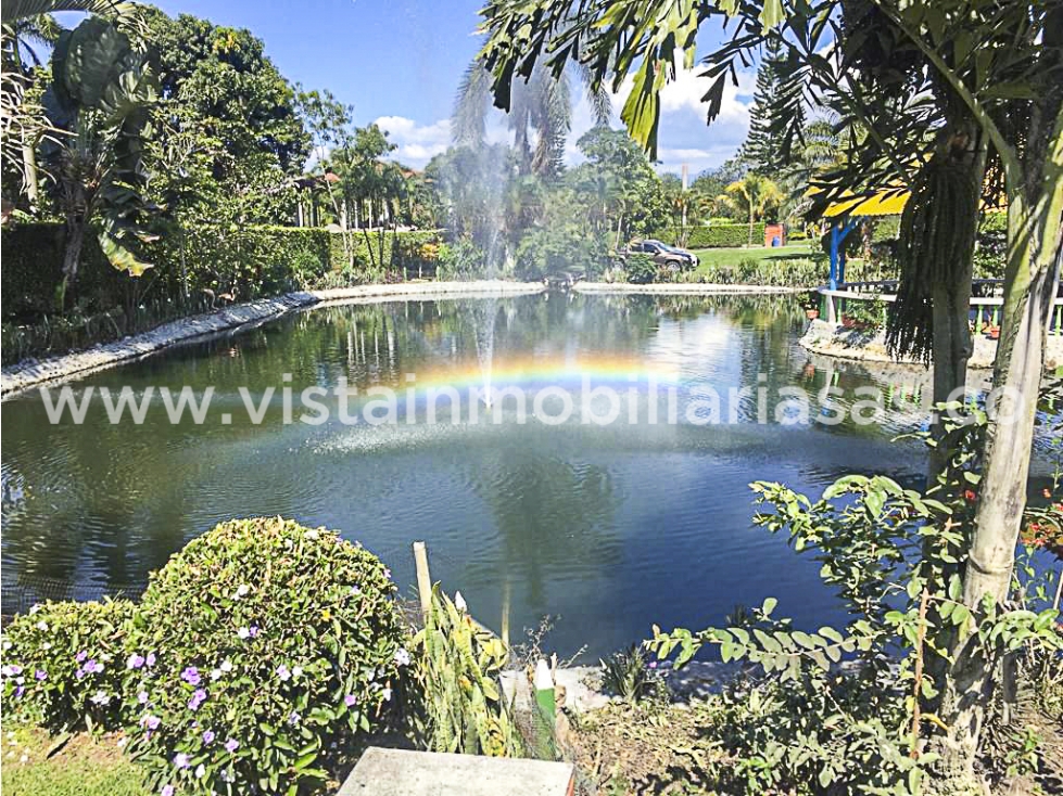 Arriendo Finca Santagueda, Palestina - 3
