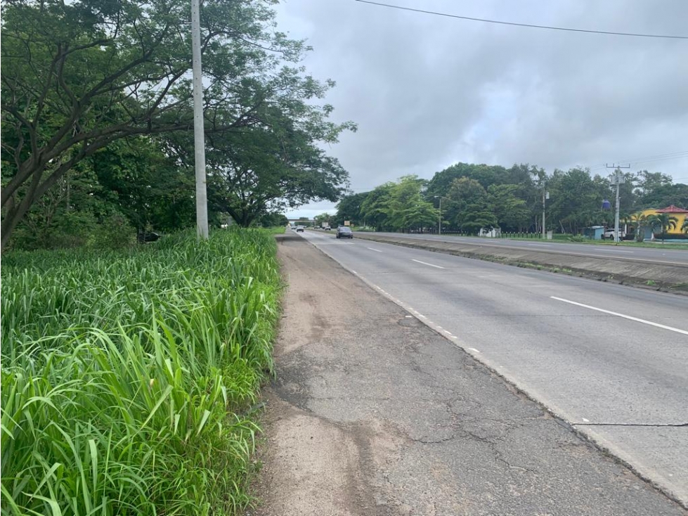 VENDO TERRENO EN PENONOME VIA INTERAMERICANA - 1