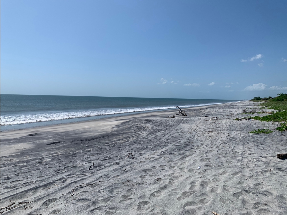 VENTA DE LOTES DE TERRENO DE PLAYA EN PUNTA CHAME