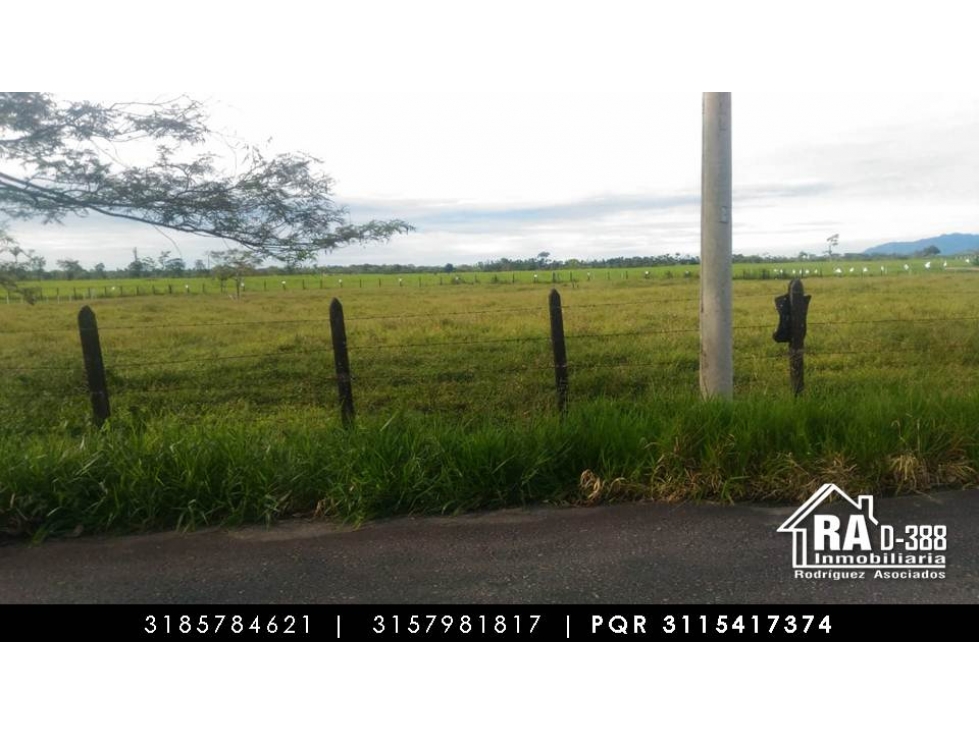 Lote en Vender en Acacias - 3