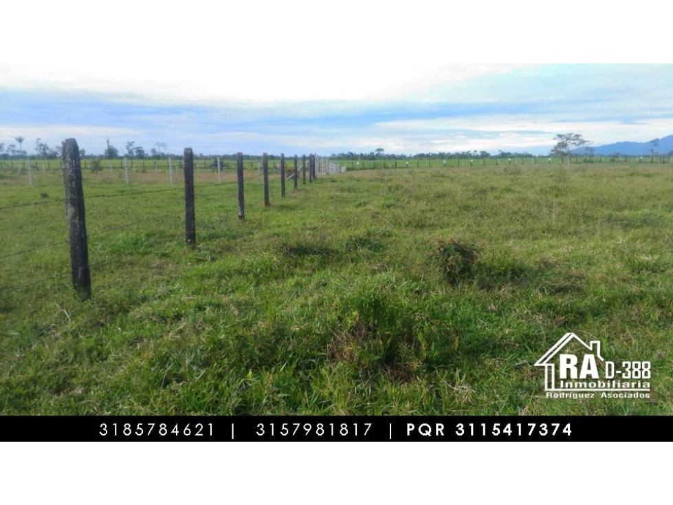 Lote en Vender en Acacias - 4