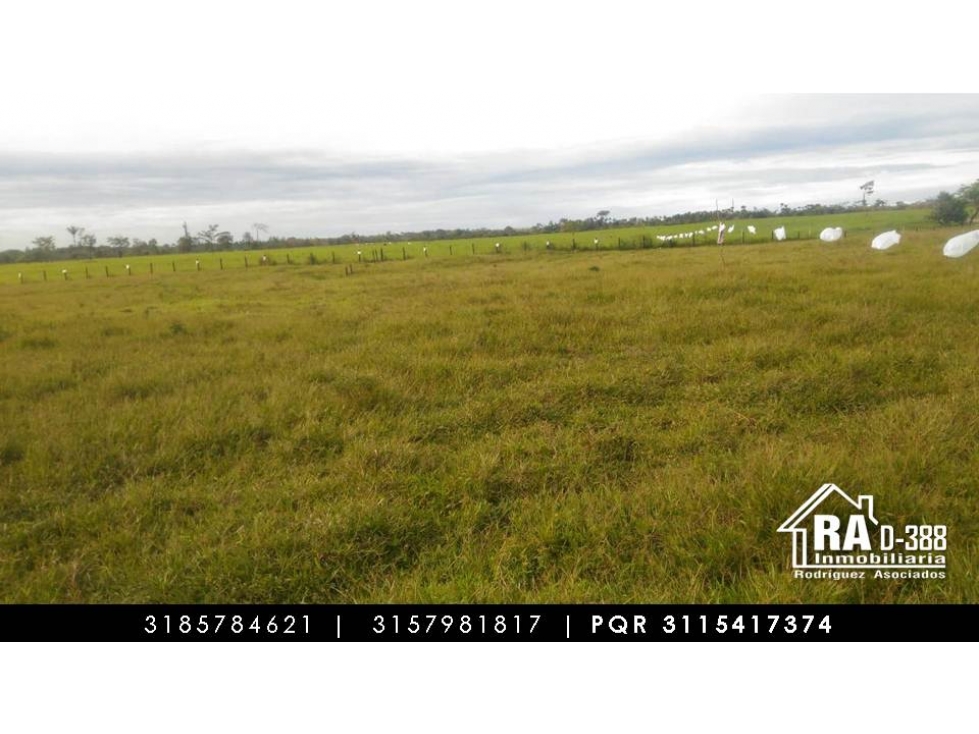 Lote en Vender en Acacias - 6