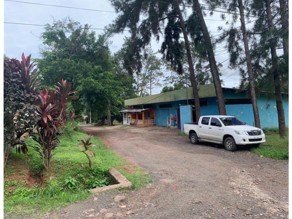 VENTA DE APARTAMENTOS DE ALQUILER Y AREA COMERCIAL - 4