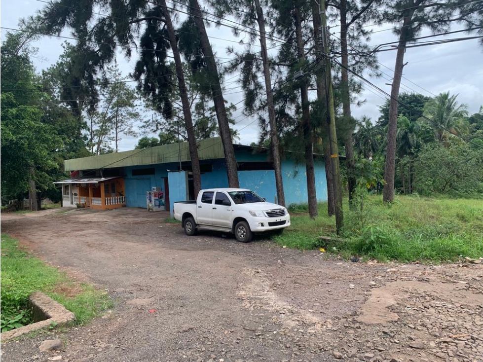 VENTA DE APARTAMENTOS DE ALQUILER Y AREA COMERCIAL - 5