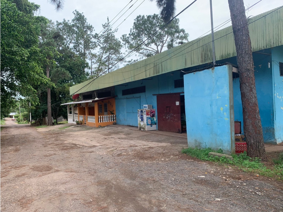 VENTA DE APARTAMENTOS DE ALQUILER Y AREA COMERCIAL - 6