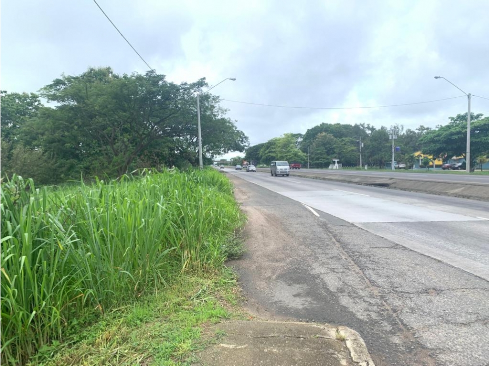 VENDO TERRENO EN PENONOME VIA INTERAMERICANA - 3