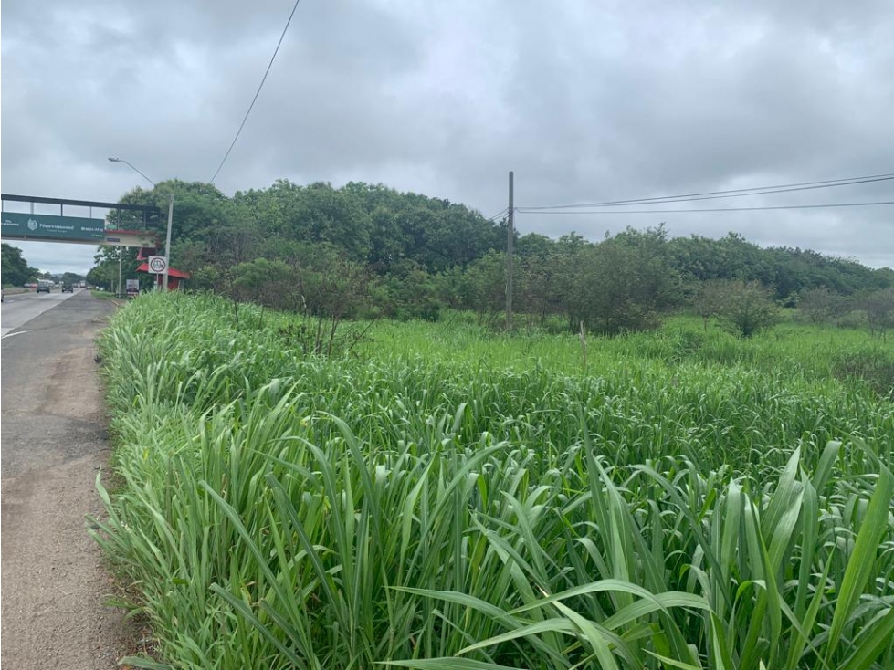 VENDO TERRENO EN PENONOME VIA INTERAMERICANA - 6