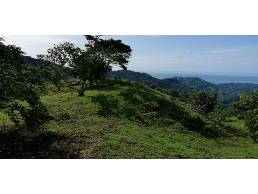 VENDO FINCA GANADERA CAMBUTAL TONOSÍ LOS SANTOS - 5