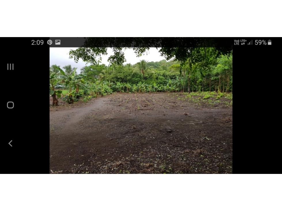 VENDO FINCA DE PLAYA - CAMBUTAL TONOSI LAS TABLAS - 6