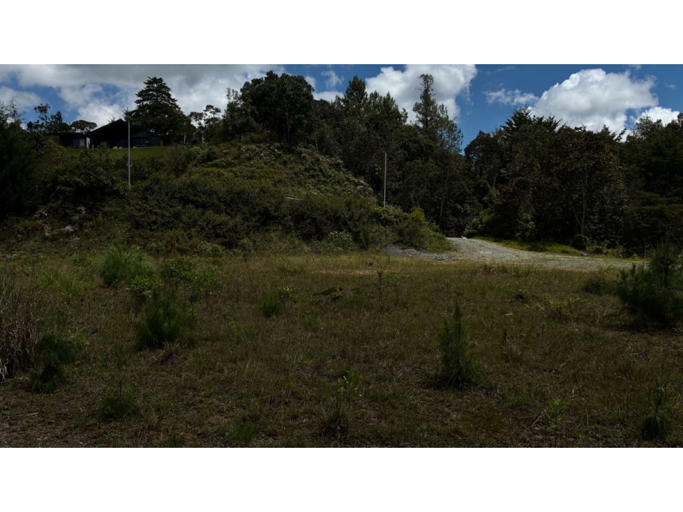 [FA] Lote en Montesereno con excelente área y opción ecuestre — foto 3
