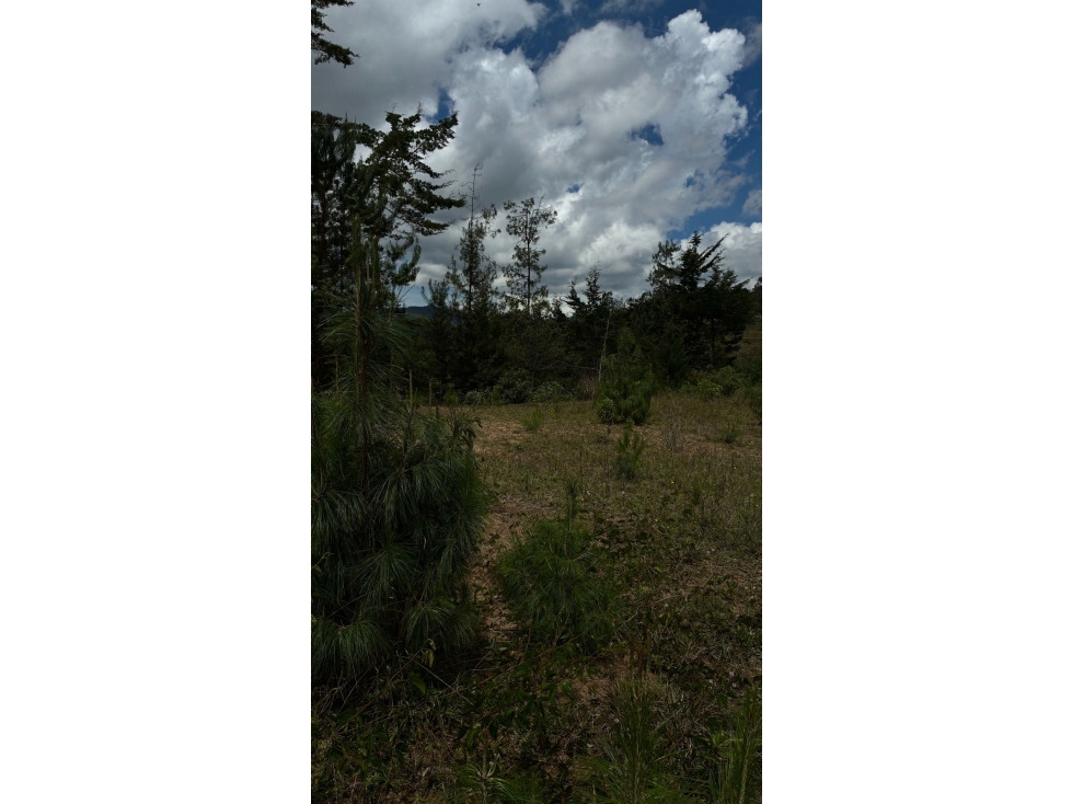[FA] Lote en Montesereno con excelente área y opción ecuestre — foto 4
