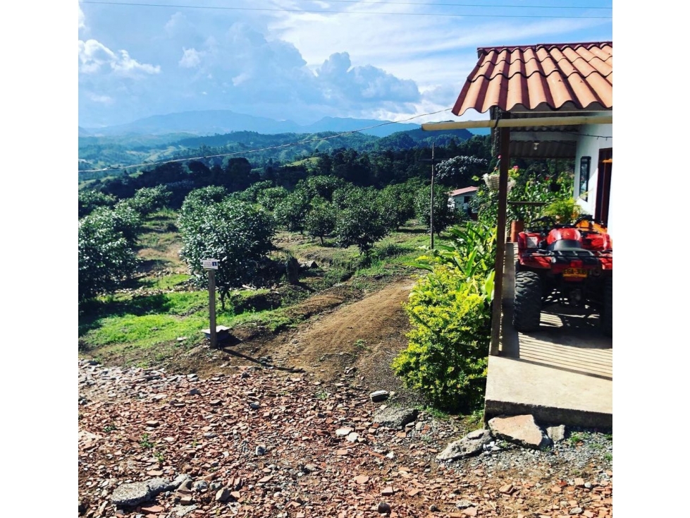 [FA] Finca aguacatera en Riosucio Caldas - 2