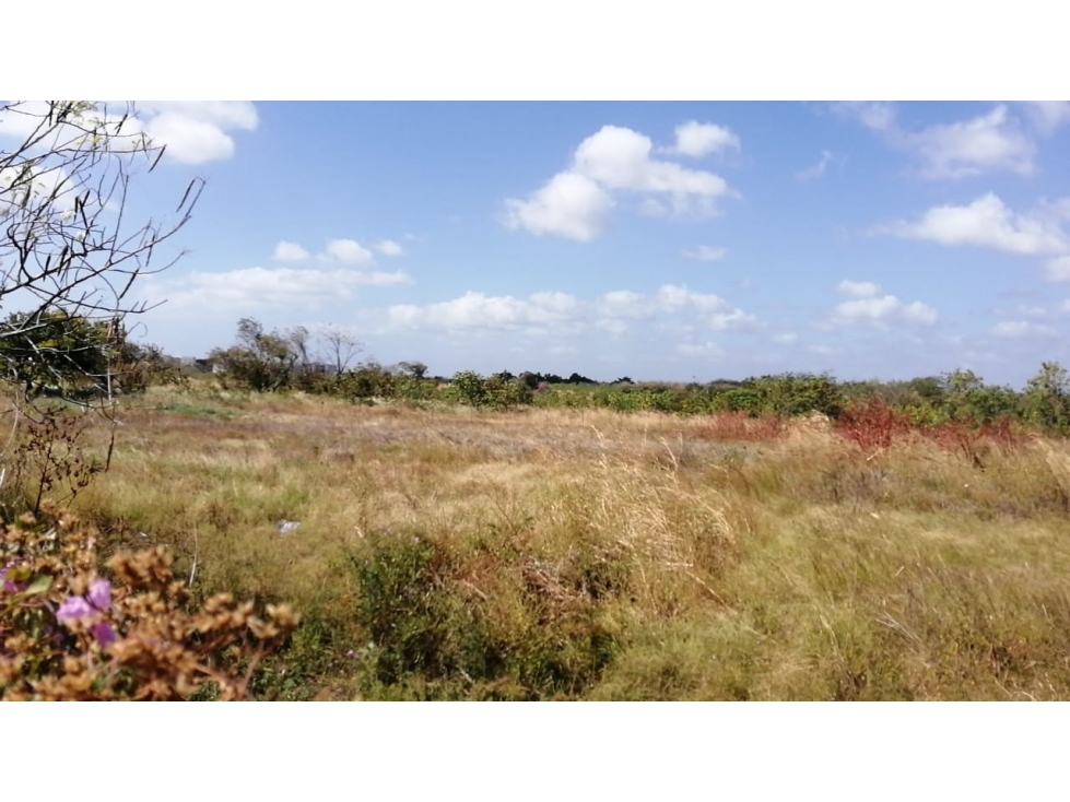 Se vende Terreno en Punta Barco, San Carlos, Panamá