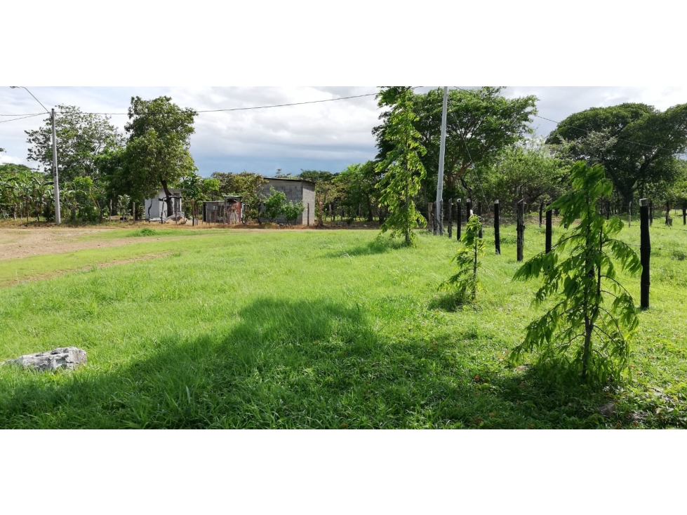 Se vende finca en Coclé, Natá - 1