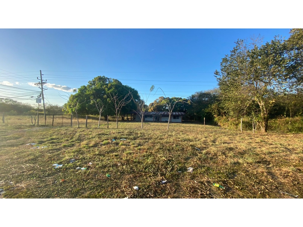 Se vende terreno en Divisa, Herrera - 1
