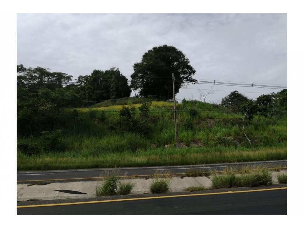 Venta de terreno en la interamericana en la entrada de Playa Corona — foto 2
