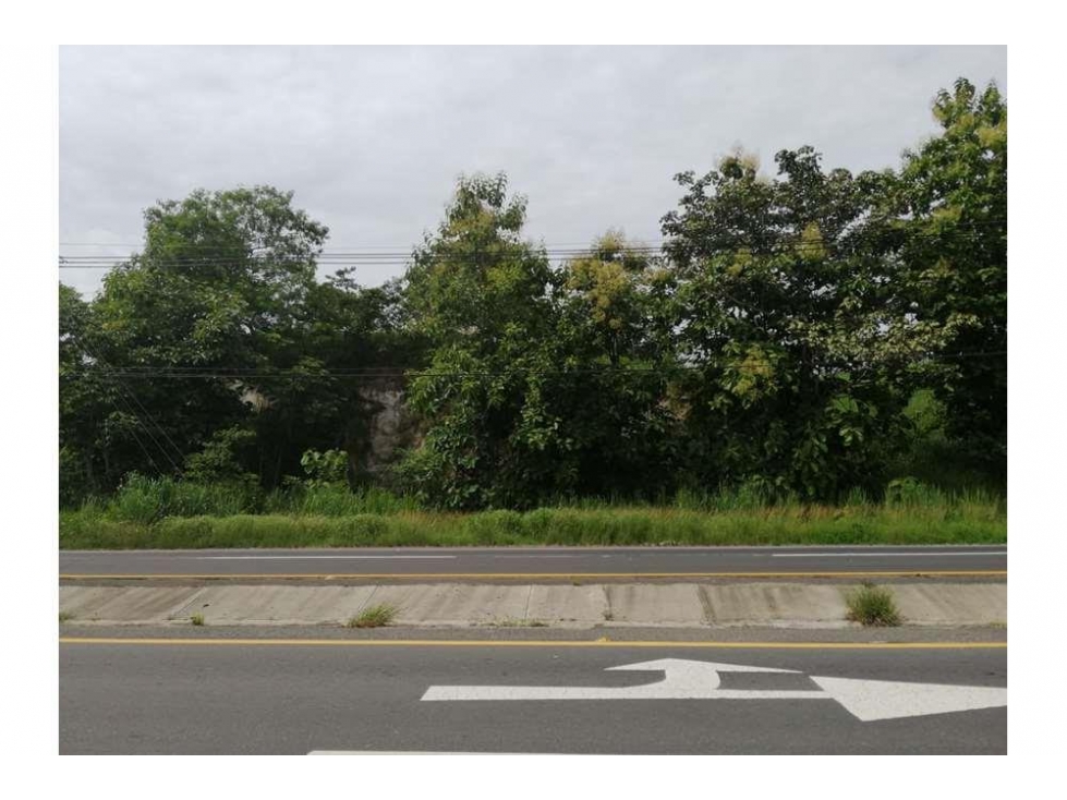 Venta de terreno en la interamericana en la entrada de Playa Corona — foto 4