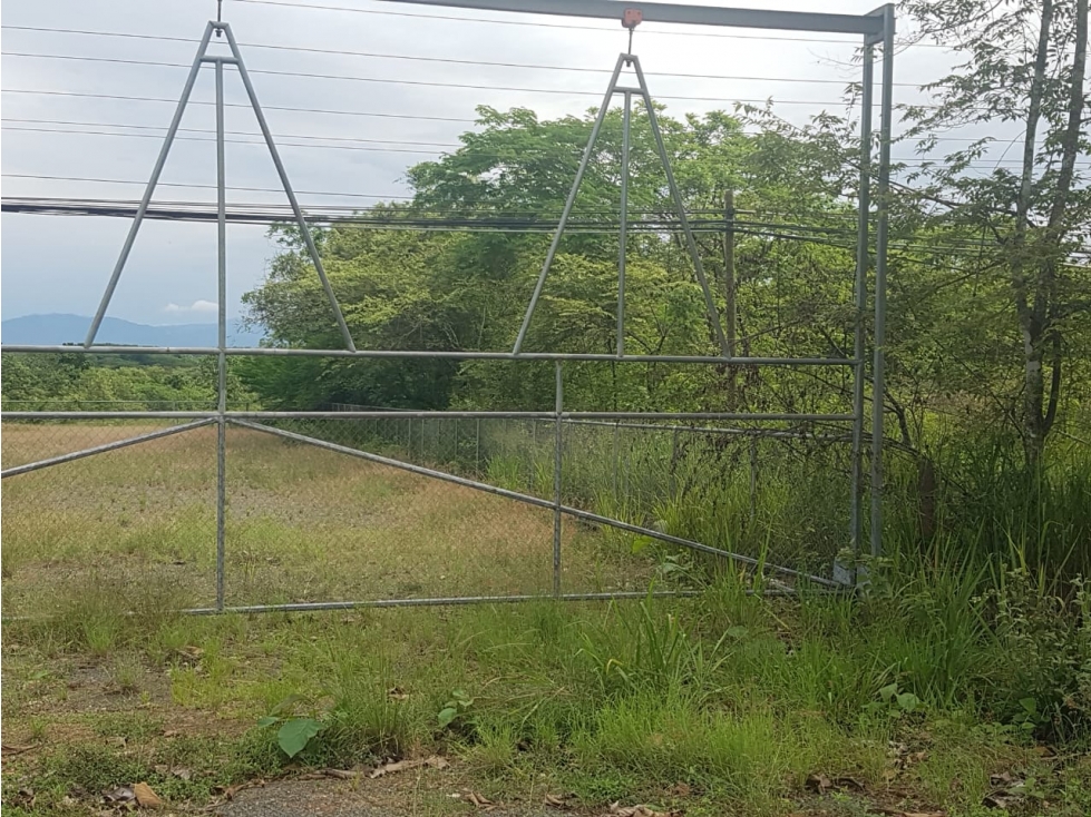 Se vende terreno de 9 ha en Divisa, Herrera - 2