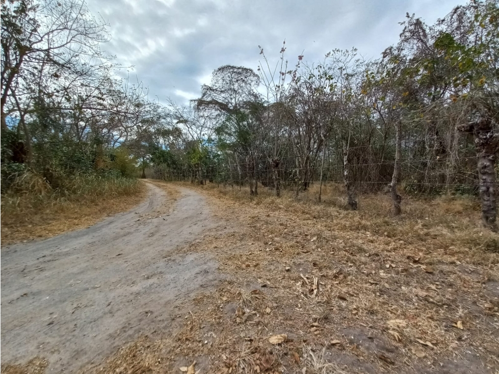 Se vende finca de 8 ha en Coclé, Juan Hombrón - 5