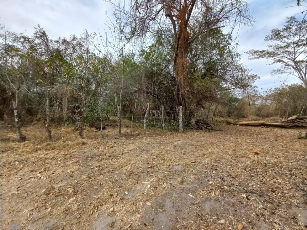 Se vende finca de 8 ha en Coclé, Juan Hombrón - 6