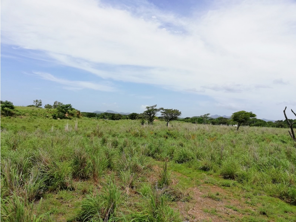 Se vende finca en Coclé, Natá - 2