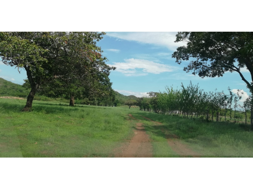 Se vende finca en Coclé, Natá - 5