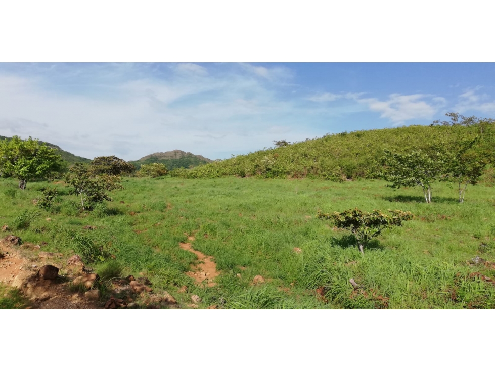 Se vende finca en Coclé, Natá - 6