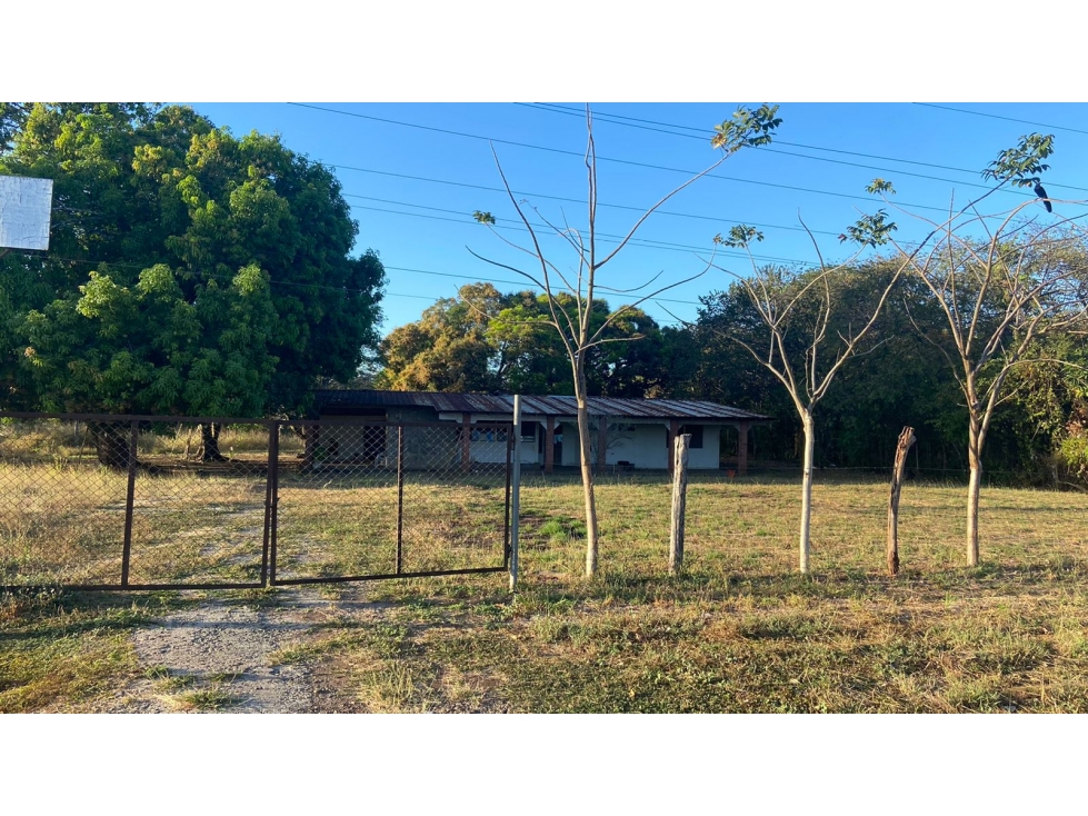 Se vende terreno en Divisa, Herrera - 2