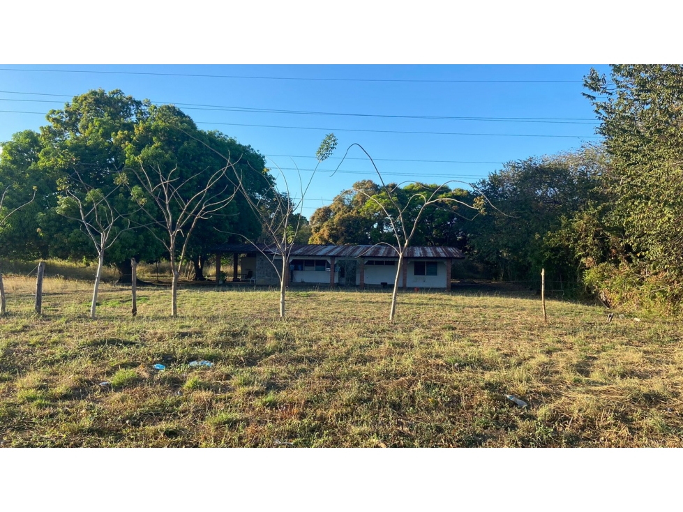 Se vende terreno en Divisa, Herrera - 3