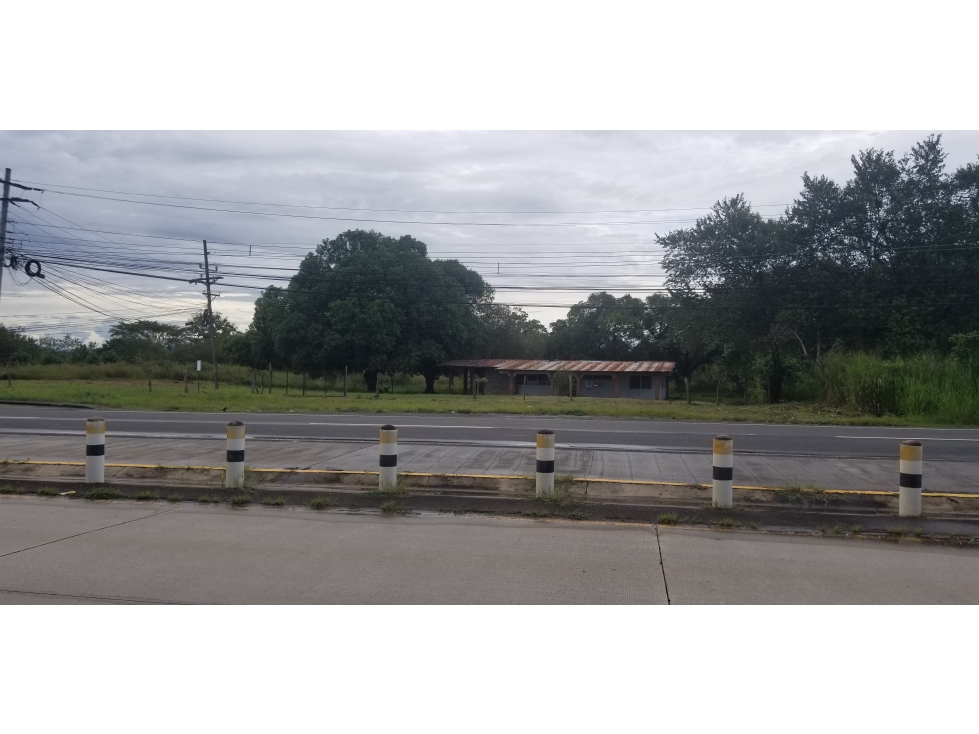 Se vende terreno en Divisa, Herrera - 5