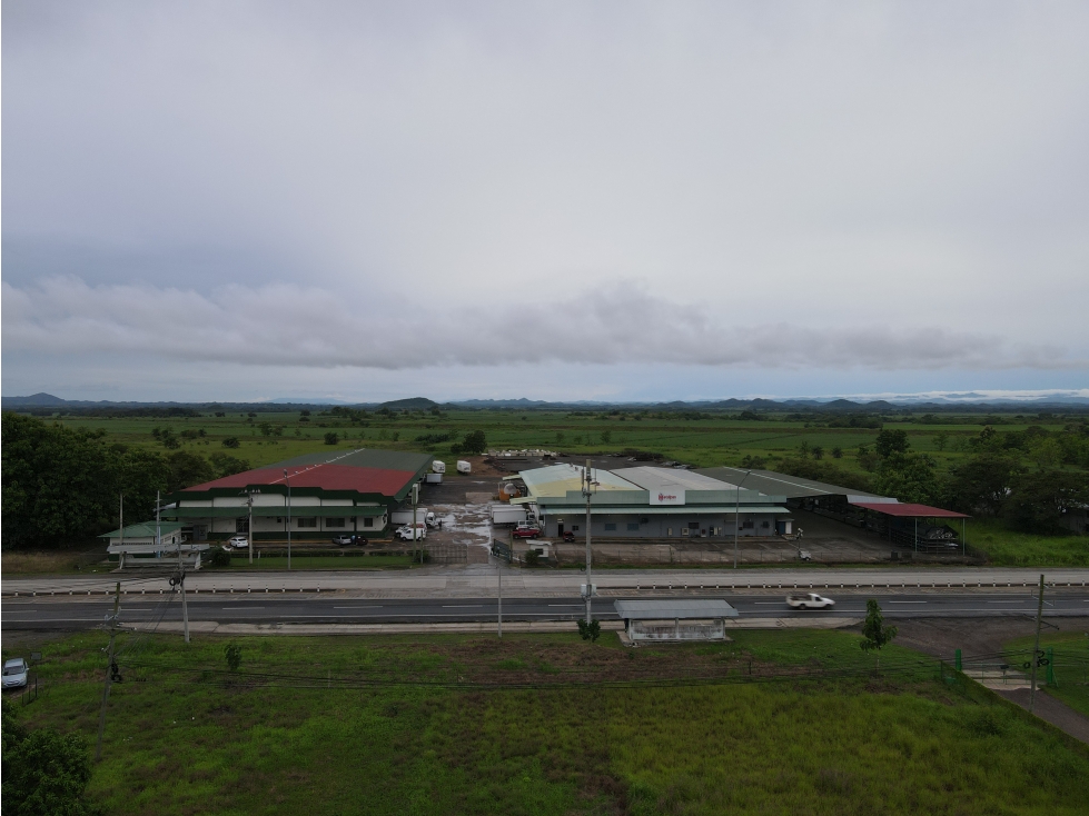 Se vende terreno en Divisa, Herrera - 6