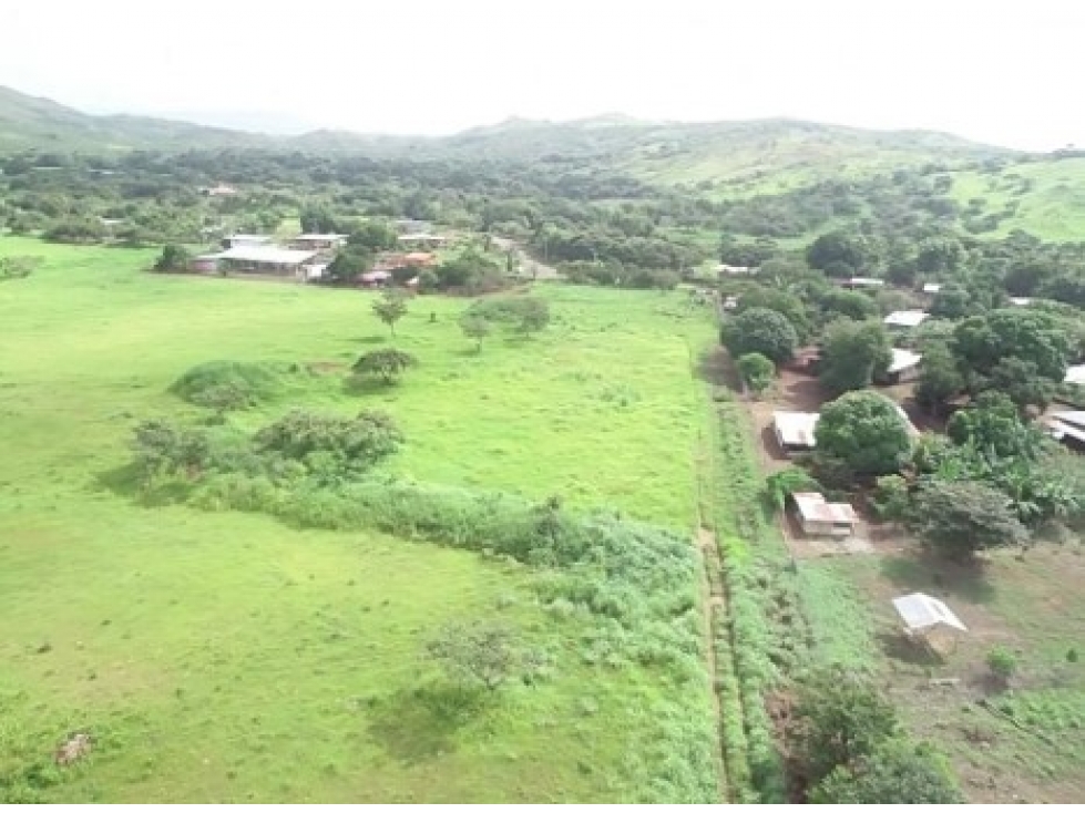 Venta terreno El Cortezo de Nata - 4