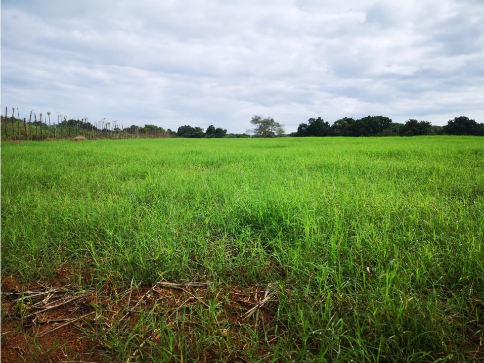 Se Vende Terreno en Aguadulce, Coclé - 3