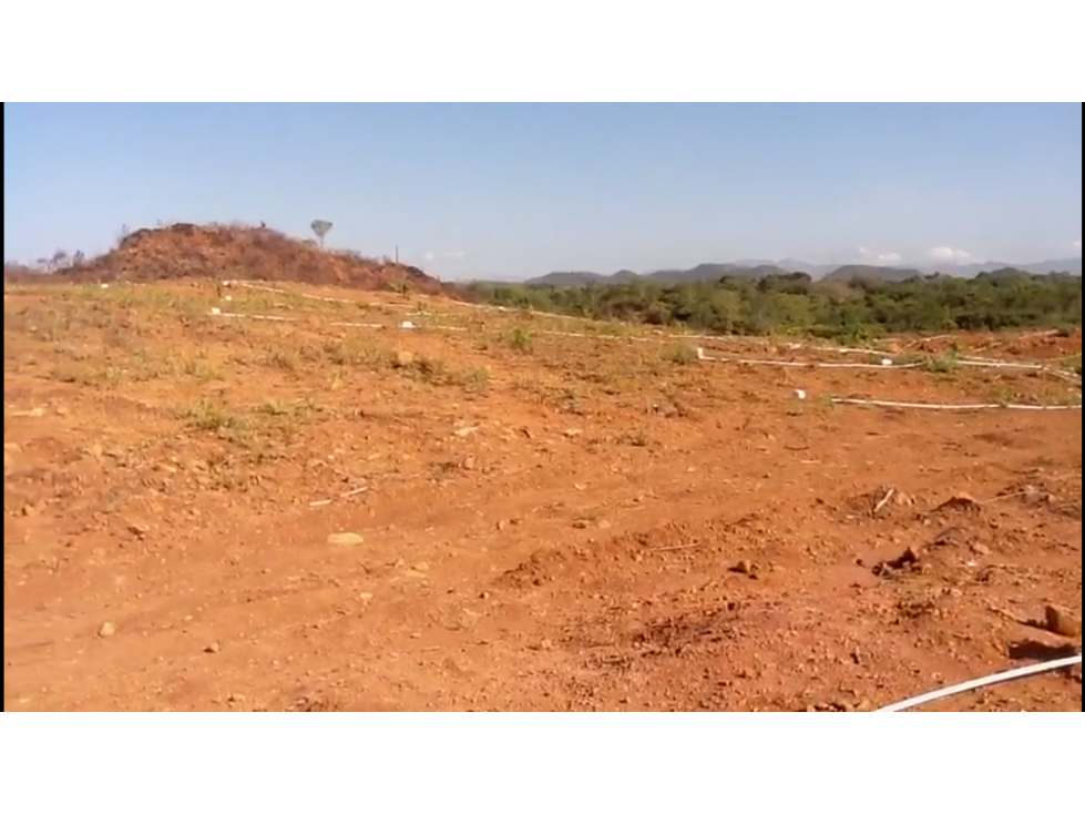 Se Vende Finca de 110 Ha Plana en Calobre, Veraguas - 6