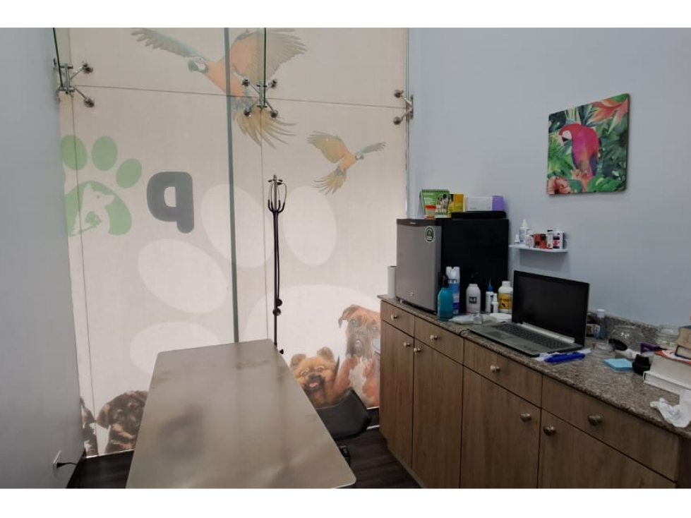Se Vende Negocio Veterinario en Panamá - 6