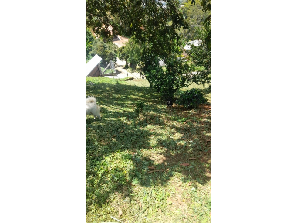 [QM] VENTA FINCA GIRARDOTA CERCA A LA AUTOPISTA — foto 3