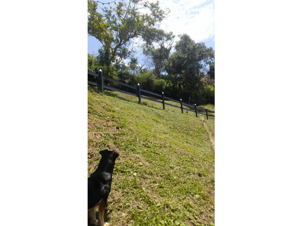 [QM] VENTA FINCA GIRARDOTA CERCA A LA AUTOPISTA — foto 5