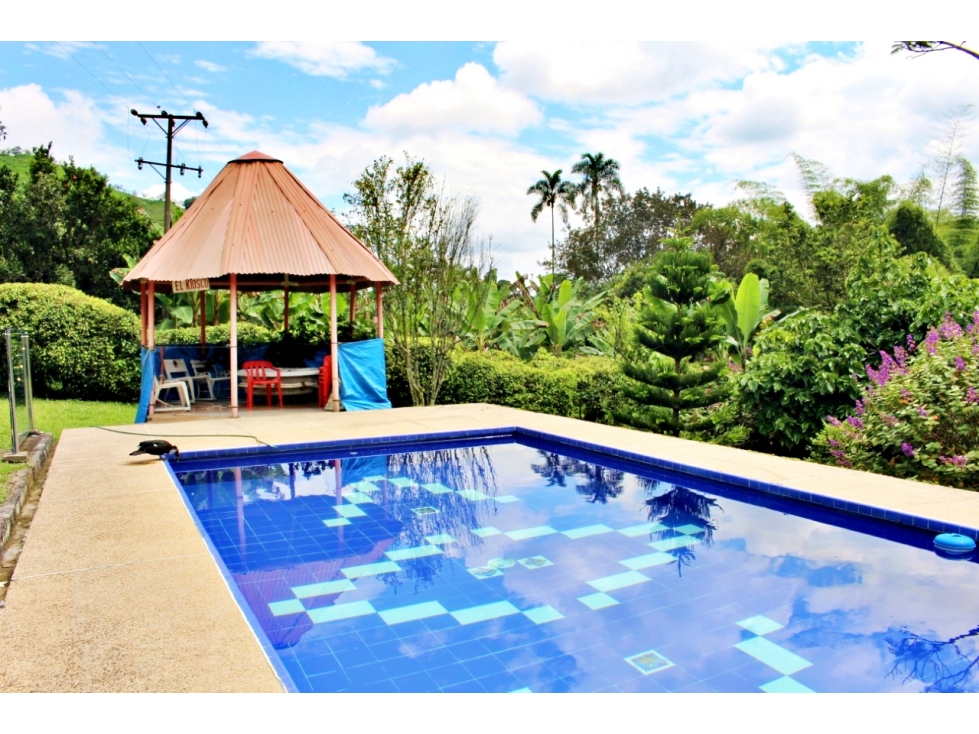 Venta Finca Vereda el Rosario, Manizales — foto 3